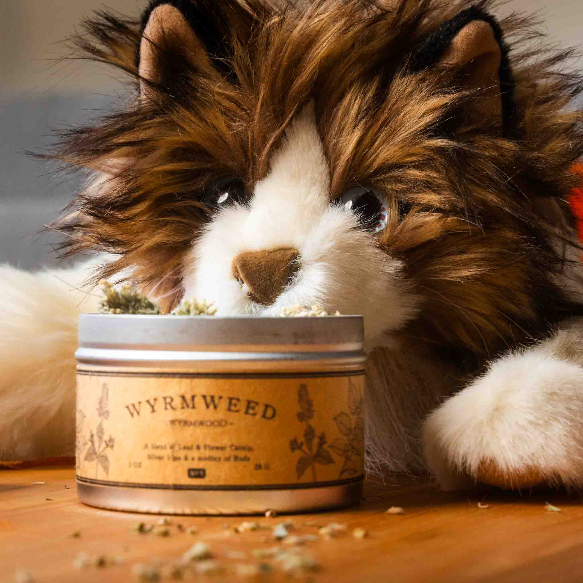 cat-coffin-catnip-cat-puppet